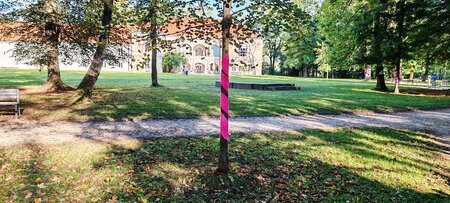 Rožnati oktober (6)